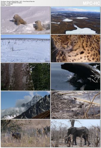 Planet Earth S01 1080p HEVC PLEX jlw
