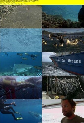 South Pacific 2009 Part6 1080p BluRay H264 AAC-RARBG