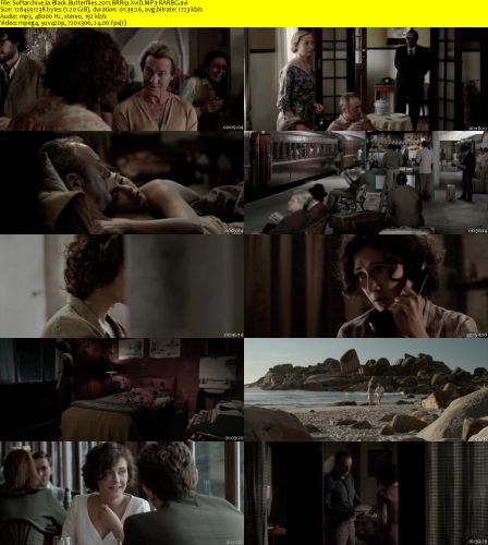 Black Butterflies 2011 BRRip XviD MP3-RARBG