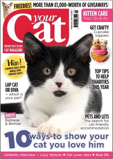 Your Cat -- February 2017