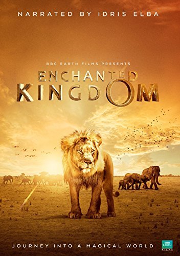 Enchanted Kingdom 3-D 2014 1080p BluRay H264 AAC-RARBG