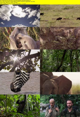 Life Story 2014 Part6 BRRip XviD MP3-RARBG