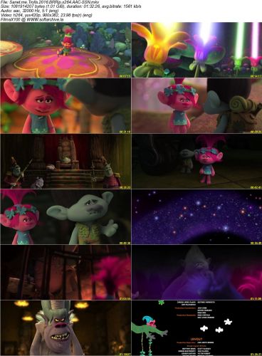 Trolls 2016 BRRip x264 AAC-SSN