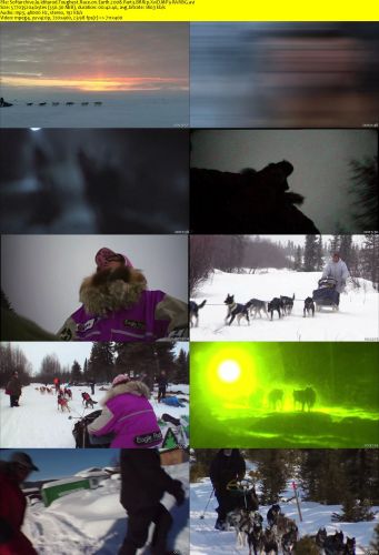 Iditarod Toughest Race on Earth 2008 Part3 BRRip XviD MP3-RARBG