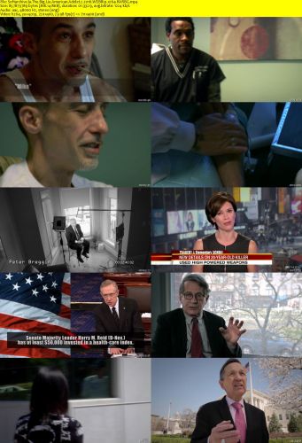The Big Lie American Addict 2 2016 WEBRip x264-RARBG