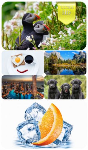 Ultra HD 3840x2160 Wallpaper Pack 91