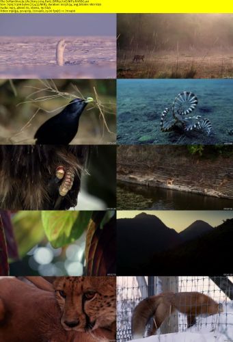 Life Story 2014 Part2 BRRip XviD MP3-RARBG