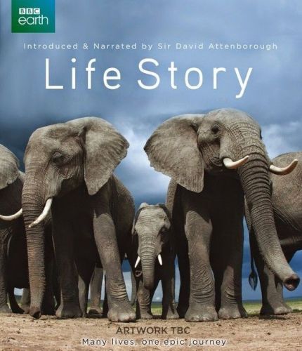 Life Story 2014 Part1 BRRip XviD MP3-RARBG