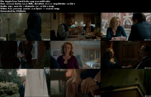 Apple Tree Yard S01E01 480p x264-mSD