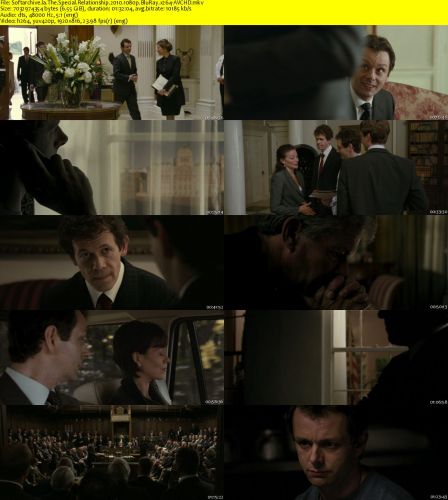 The Special Relationship 2010 1080p BluRay x264-AVCHD