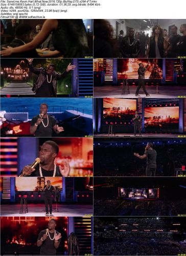 Kevin Hart What Now 2016 720p BluRay DTS x264-iFT