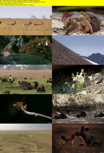 Life Story 2014 Part3 BRRip XviD MP3-RARBG
