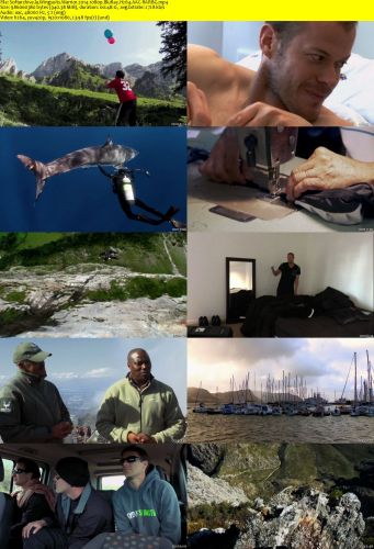 Wingsuits Warrior 2014 1080p BluRay H264 AAC-RARBG