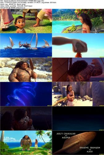 Moana 2016 DVDSCR 700MB MkvCage