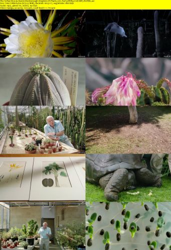 David Attenborough Kingdom Of Plants 2012 Part3 BRRip XviD MP3-RARBG