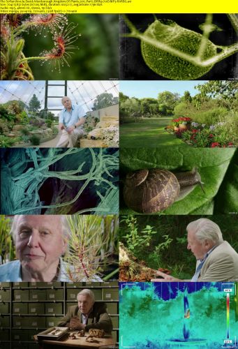 David Attenborough Kingdom Of Plants 2012 Part2 BRRip XviD MP3-RARBG