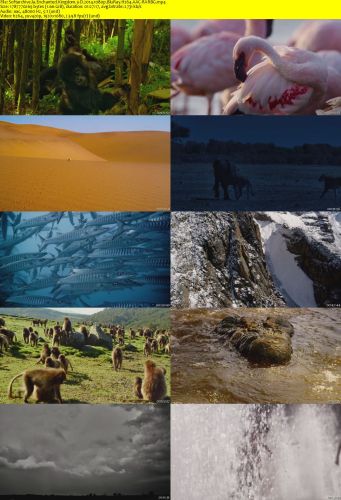 Enchanted Kingdom 3-D 2014 1080p BluRay H264 AAC-RARBG
