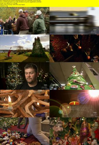 Extreme Christmas Trees 2011 720p HDTV x264-W4F