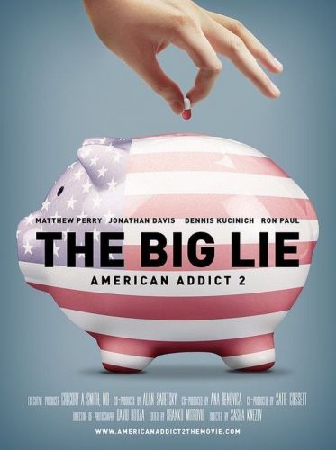 The Big Lie American Addict 2 2016 WEBRip x264-RARBG