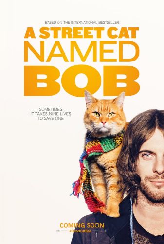 A Street Cat Named Bob 2016 HDrip HC 700MB x264 CAT