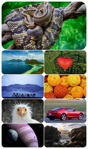 Beautiful Mixed Wallpapers Pack 414