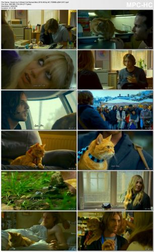 A Street Cat Named Bob 2016 HDrip HC 700MB x264 CAT