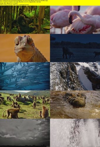 Enchanted Kingdom 3-D 2014 720p BluRay H264 AAC-RARBG
