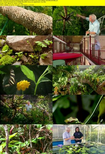 David Attenborough Kingdom Of Plants 2012 Part1 BRRip XviD MP3-RARBG