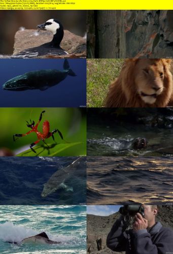 Life Story 2014 Part1 BRRip XviD MP3-RARBG