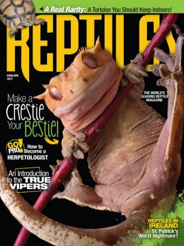 Reptiles - March-April 2017–