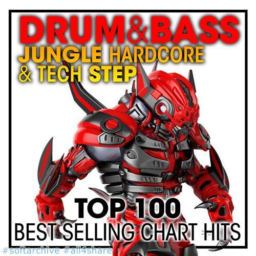 VA-Top 100 Drum Bass Jungle Hardcore Tech Step (2017)