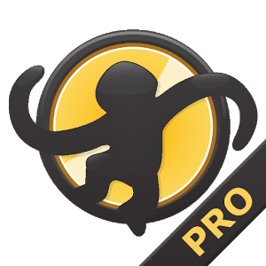MediaMonkey Pro v1.3.0.0674