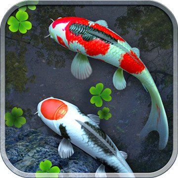 Water Garden Live Wallpaper v1.54 Unlocked