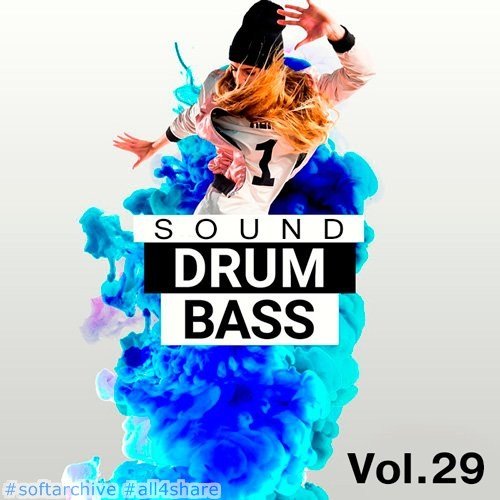VA-Drum &amp; Bass Sound Vol.29 (2017)
