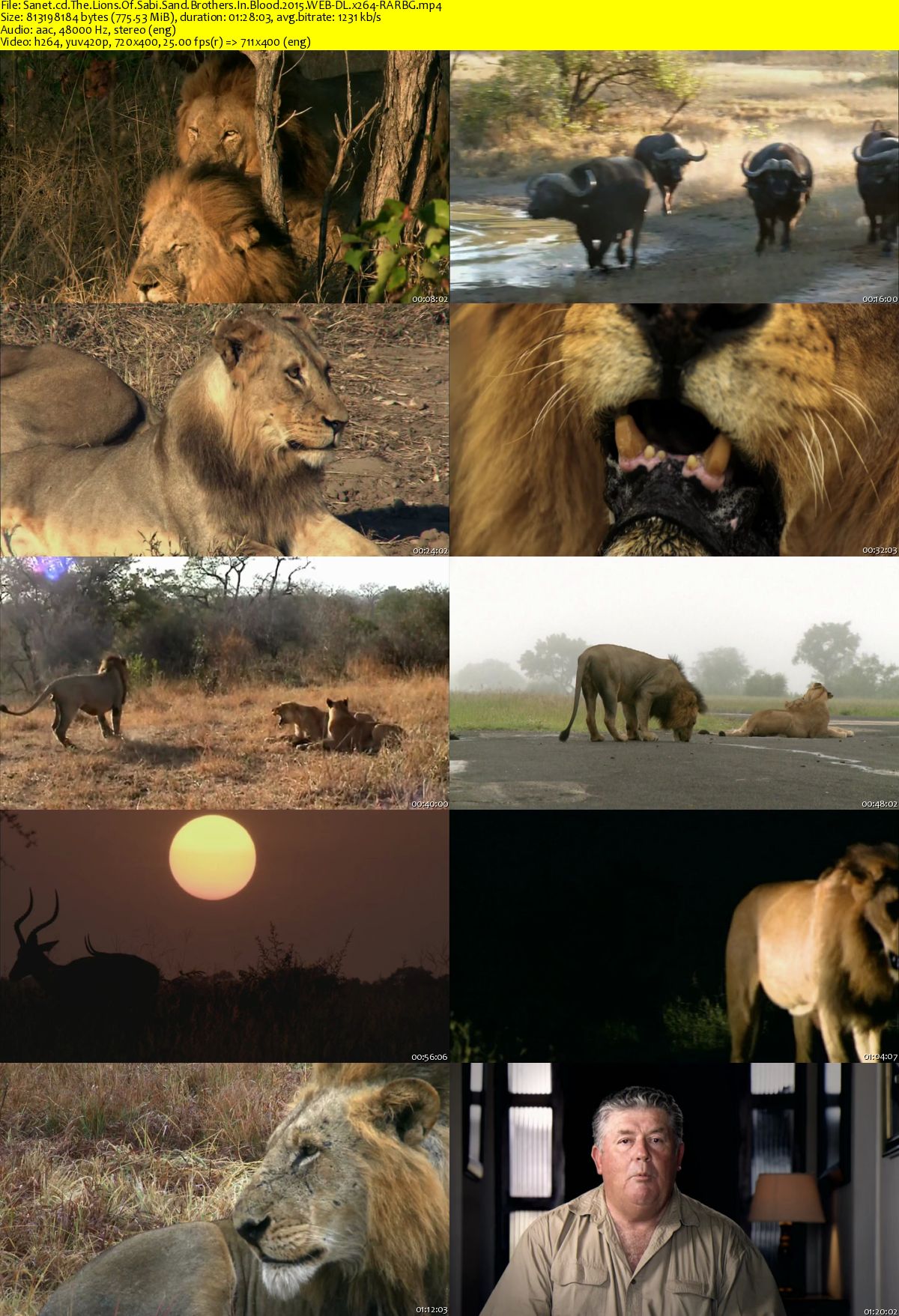 The Lions Of Sabi Sand Brothers In Blood 2015 WEB-DL x264-RARBG