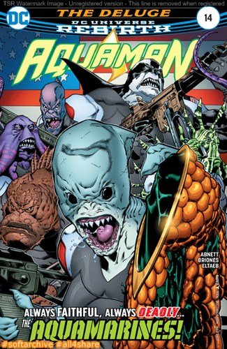 Aquaman 014 (2017)