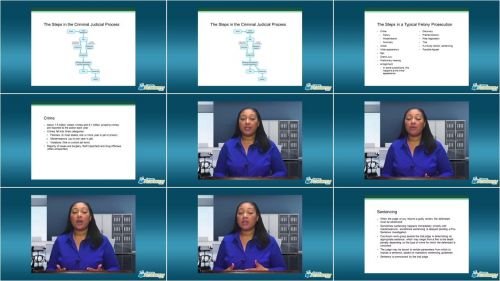 Career Academy - Introduction to Legal Concepts