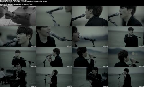 Park Hyo Shin - Wild Flower (1080p)