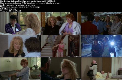Postcards From The Edge 1990 720p BluRay x264-SiNNERS