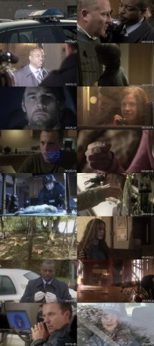 Taken in Broad Daylight (2009) 720p BluRay x264-SADPANDA