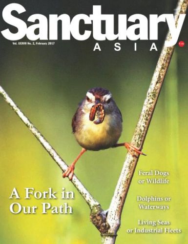Sanctuary Asia - February 2017–