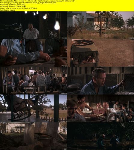 Cool Hand Luke 1967 H264 Italian English Ac3 sub ita eng iCV-MIRCrew