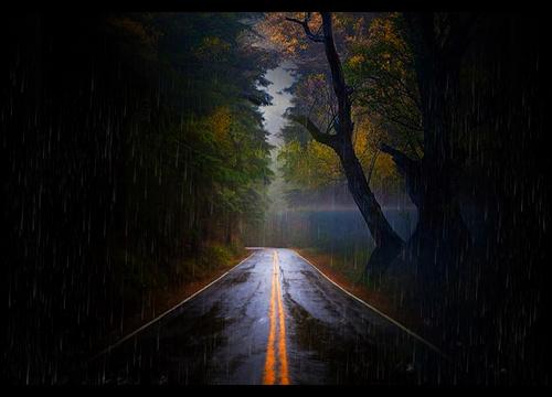 Rainy Road - Video wallpaper