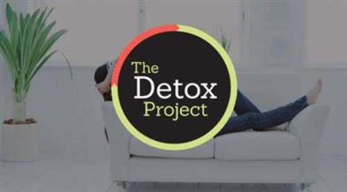 The 2016 Detox Project Summit