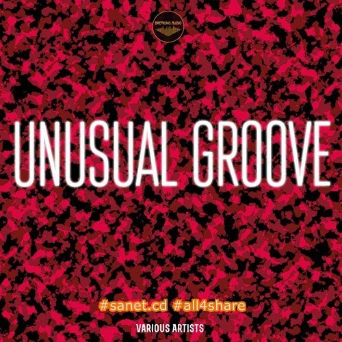 VA - Unusual Groove (2017)