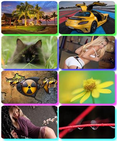 Mix Colorful pictures - Desktop Wallpapers (part 185)