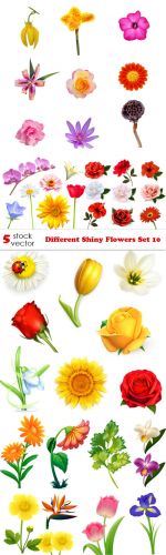 Vectors - Different Shiny Flowers Set 10