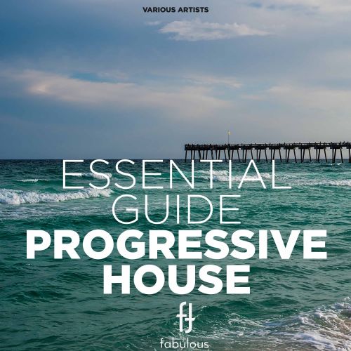VA - Essential Guide Progressive House (2017)
