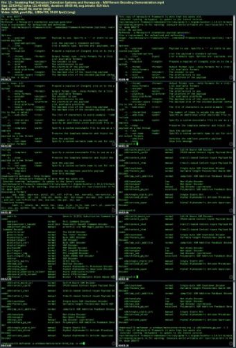 Exploitation: Evading Detection and Bypassing Countermeasures