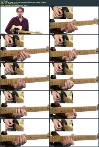 David Hamburger's - 50 Jazz-Blues Licks You MUST Know